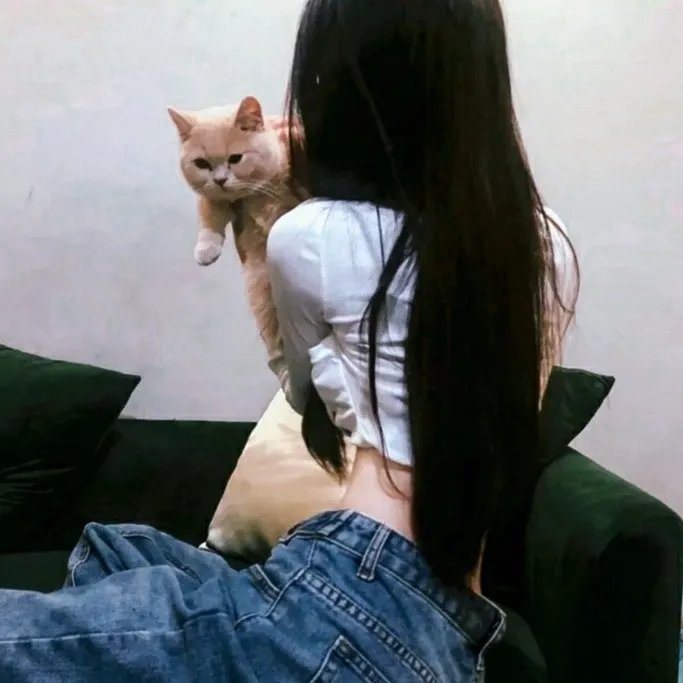 见龙卸甲